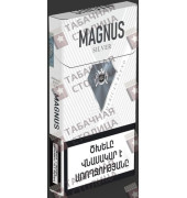 Magnus SS Silver